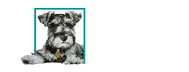 Maddie's Fund - Humane Society Naples No-Kill Animal Shelter in Collier County